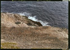 007_farallon_islands