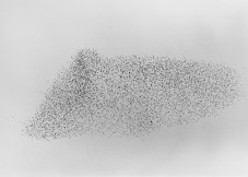014_swarm