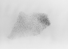 015_swarm