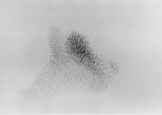 016_swarm
