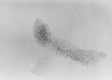 017_swarm