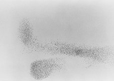 018_swarm