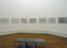 Swarm, Detail of Installation, Le musée d’art et d’histoire, Neuchatel