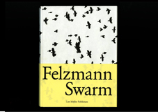 swarm_book_cover